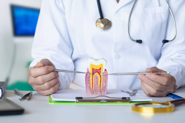 , VA Emergency Dentist Company